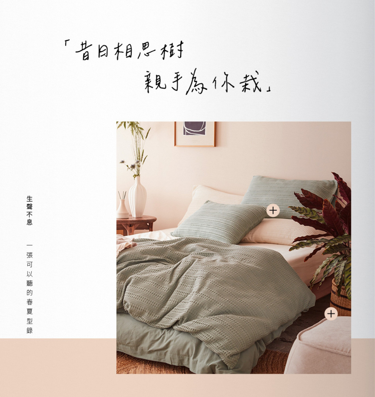 頁碼 16