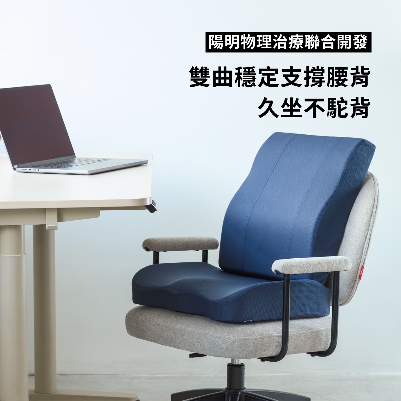 雙區抗菌高密度記憶護背墊 藍|HOLA 和樂家居|HOLA 和樂家居